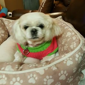 Meet your Posher, Irma